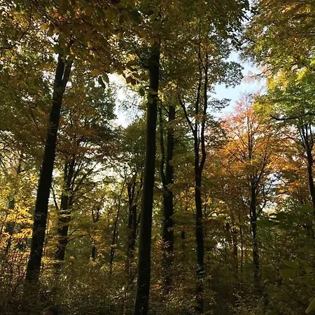 Апартаменты Nature And Art *