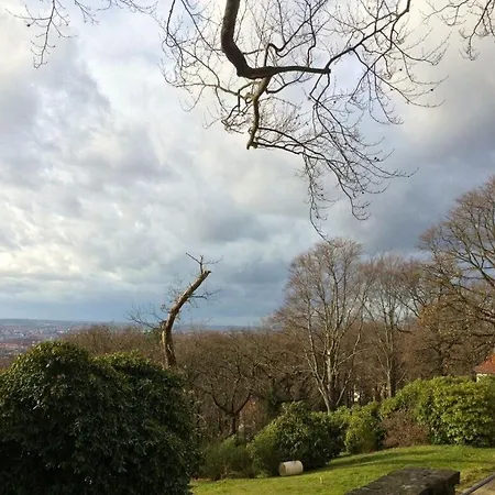 Nature And Art *