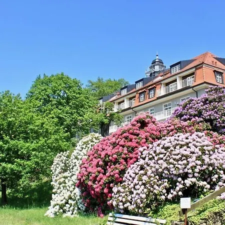 Apartment Nature And Art Dresden